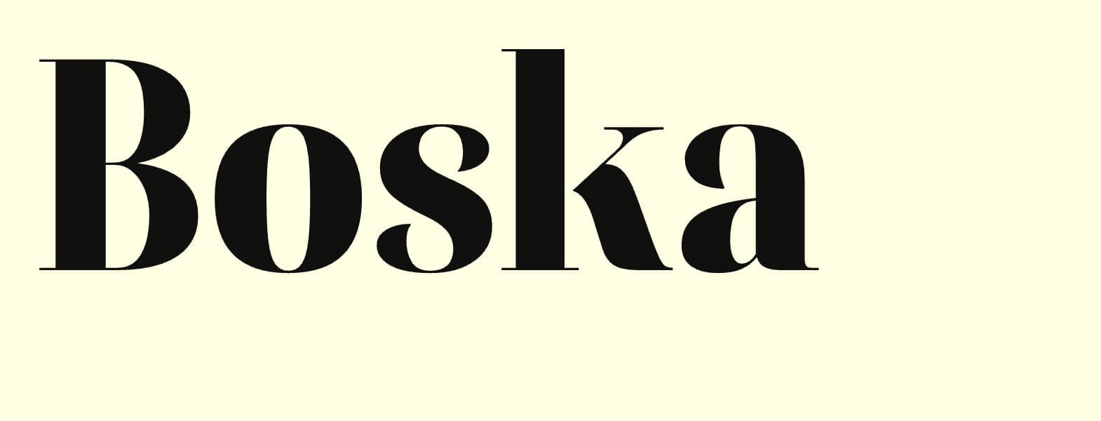 Nuxt 时尚类外贸网站模板字体Boska-Variable截图